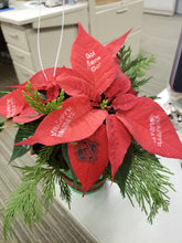 Load image into Gallery viewer, Red flashy Poinsettia business - from $33.34 Flower Arrangements, Flower, Florist, Print-a-Bunch Ottawa - Orleans Florist, Great for a Birthday and Anniversary 
