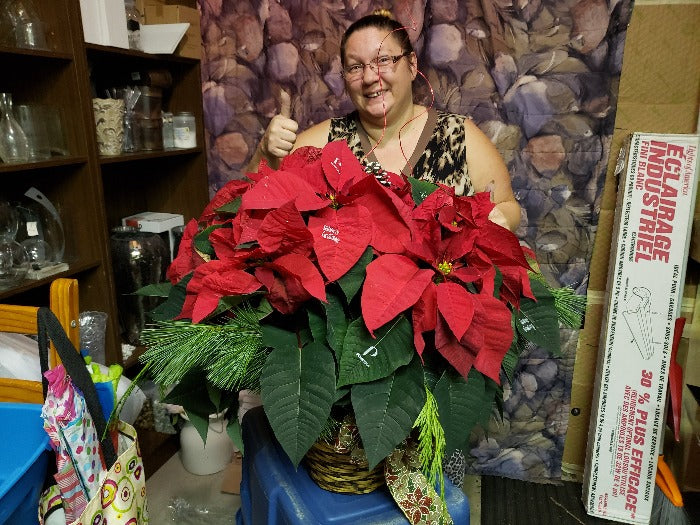 Red flashy Poinsettia business - from $33.34 Flower Arrangements, Flower, Florist, Print-a-Bunch Ottawa - Orleans Florist, Great for a Birthday and Anniversary 