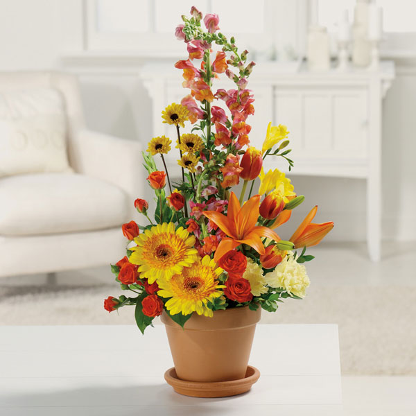 Terra Cotta Treasures - Starting from $59.99 Flower Arrangements, Flower, Florist, Print-a-Bunch Ottawa - Orleans Florist, Great for a Birthday and Anniversary 