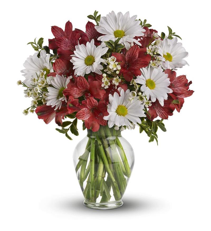 Upsy Daisy's - Starting frm $46 Flower Arrangements, Flower, Florist, Print-a-Bunch Ottawa - Orleans Florist, Great for a Birthday and Anniversary 