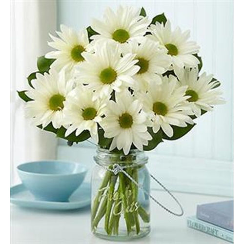 Room full of daisies - Anniversary Flower Arrangements, Flower, Florist, Print-a-Bunch Ottawa - Orleans Florist, Great for a Birthday and Anniversary 